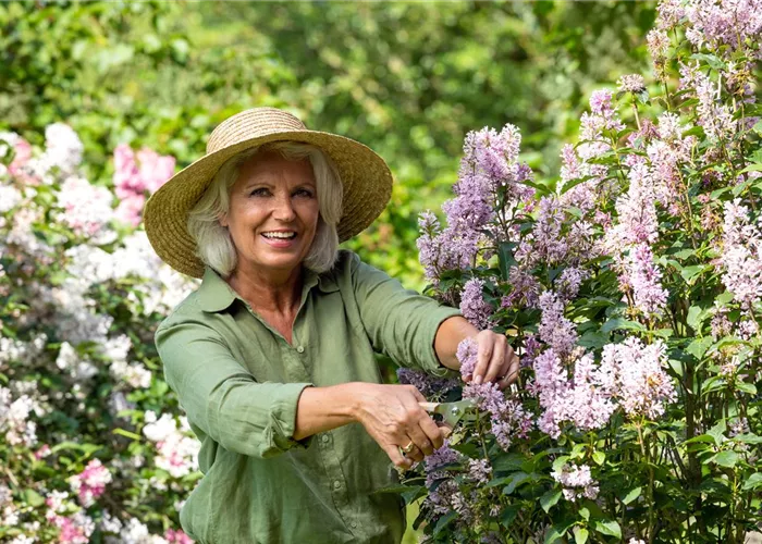 Jobs Lehmann Pflanzen OHG