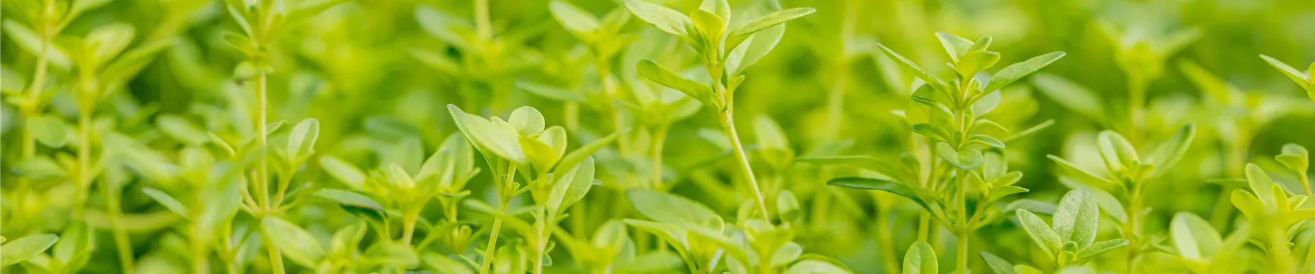 Über das Kontaktformular Kontakt zu uns aufbauen